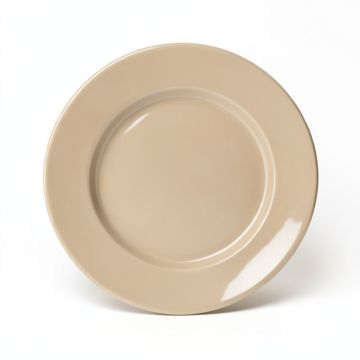 Darrion 11 '' Melamine Dinner Plate (synthetic illustration; no displayed measurements)
