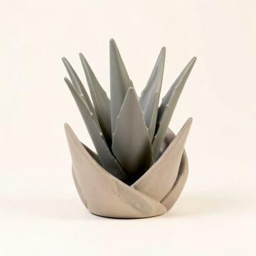 Ralston Spiral Aloe Garden Art (synthetic illustration; no displayed measurements)