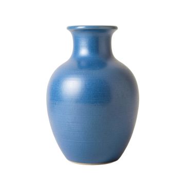 Rowan Canyon Empty Decorative Vase - Blue
