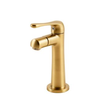 Royale Monobloc Bathroom Faucet With Drain Assembly