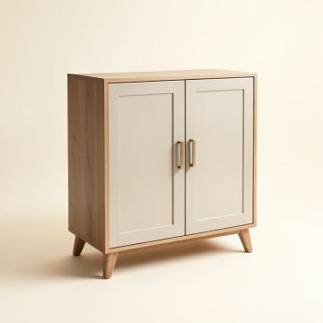 Purvi 2 Door Accent Cabinet (synthetic illustration; no displayed measurements)