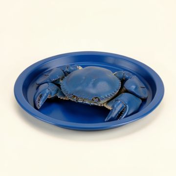 Big Crab Platter (synthetic illustration; no displayed measurements)