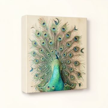 Peacock Garden Vii And Peacock Garden Viii By Anne Tavoletti - 2 (synthetic illustration; no displayed measurements)