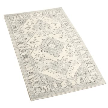 Coby Bohemian Tribal Southwestern Ivory/Gray Area Rug