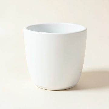 Plastic Wall Planter (synthetic illustration; no displayed measurements)