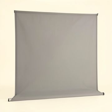 Salara Gray 100 '' Diagonal Electric Projection Screen (synthetic illustration; no displayed measurements)