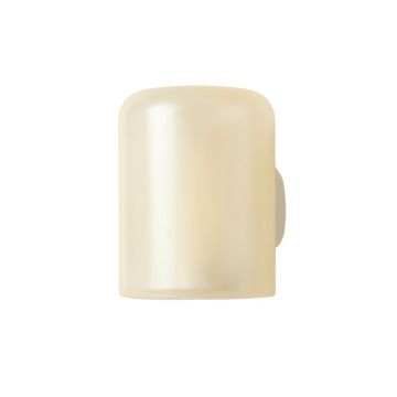 Moss Canyon Wall Sconce Mounted On A Plain Wall - Ivory