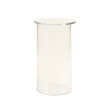 Abeeda Crystal Plant Stand (synthetic illustration; no displayed measurements)