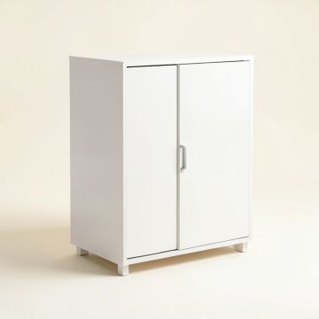 Anzell 2 Door Storage Cabinet (synthetic illustration; no displayed measurements)