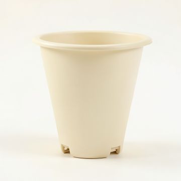 Spruce Dale Empty Railing Planter With Integral Brackets - Ivory (synthetic illustration; no displayed measurements)
