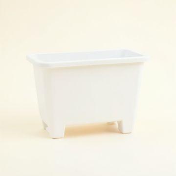 Fern Canyon Empty Raised Planter - White (synthetic illustration; no displayed measurements)