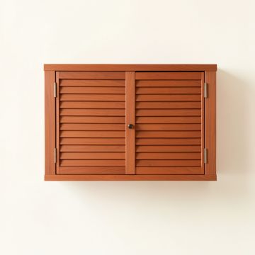 Dawn Bridge Wall-Mounted Entry Cabinet - Terracotta (synthetic illustration; no displayed measurements)