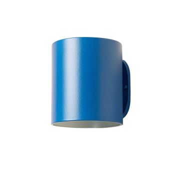 Reed Branch Wall Sconce Mounted On A Plain Wall - Blue