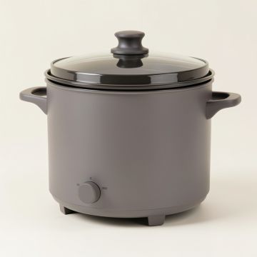 Zing Oval Slow Cooker (synthetic illustration; no displayed measurements)