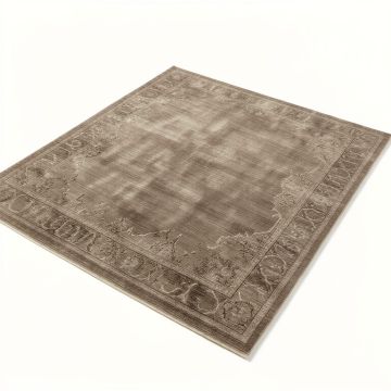 Asheville Oriental Taupe Area Rug (synthetic illustration; no displayed measurements)