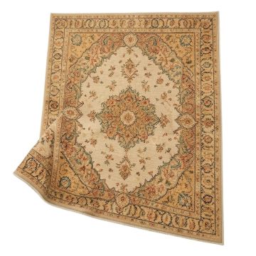 Bonney Oriental Area Rug