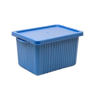 Reed Arc Closed Outdoor Storage Box - Blue