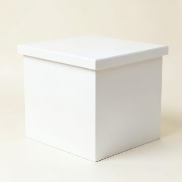 Field Bridge Closed Outdoor Storage Box - White (synthetic illustration; no displayed measurements)