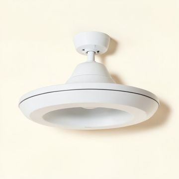 Ceiling Fan Housings (synthetic illustration; no displayed measurements)