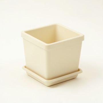 Shore Dale Empty Planter - Ivory (synthetic illustration; no displayed measurements)