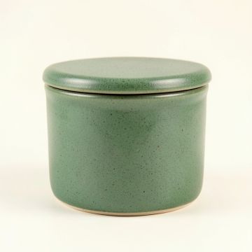 Birch Brook Storage Canister With Lid - Green (synthetic illustration; no displayed measurements)