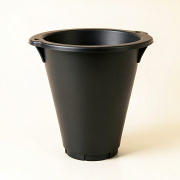 Lake Crest Empty Railing Planter With Integral Brackets - Black (synthetic illustration; no displayed measurements)