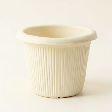 Olive Bridge Empty Planter - Ivory (synthetic illustration; no displayed measurements)