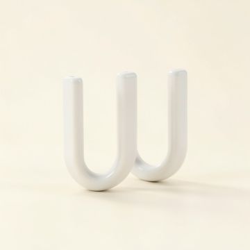 Juniata Shower Hooks White (synthetic illustration; no displayed measurements)