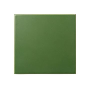 Birch Bluff Uninstalled Square Decorative Tile - Green
