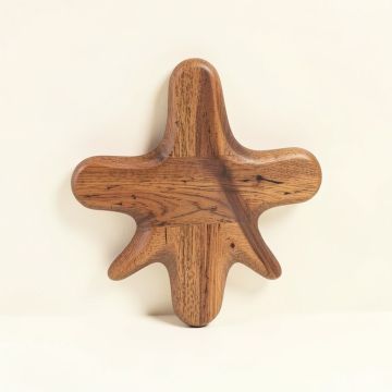 Sand Dollar Wood Wall Décor (synthetic illustration; no displayed measurements)