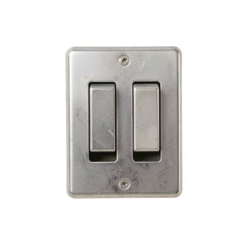 Two Raccoons 2-Gang Toggle Light Switch Wall Plate (synthetic illustration; no displayed measurements)