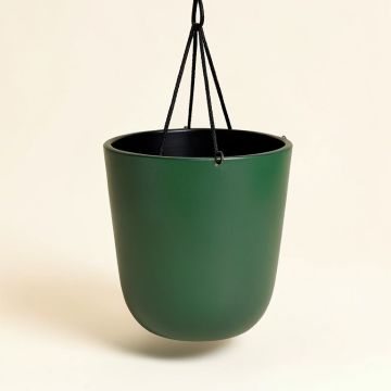 Jake Steel Hanging Planter (synthetic illustration; no displayed measurements)