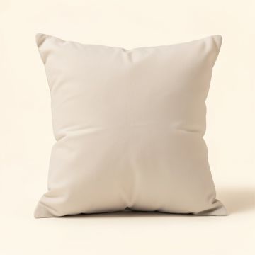 Dee Pintucked Throw Pillow Cover & Insert (synthetic illustration; no displayed measurements)