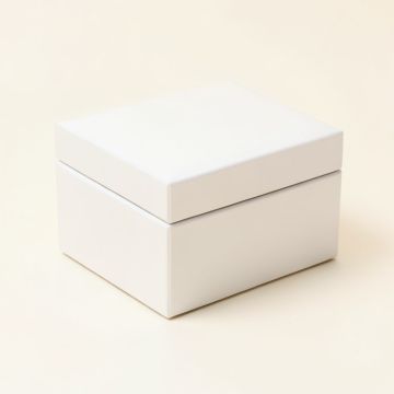 Jewelry Box With Organizer (synthetic illustration; no displayed measurements)
