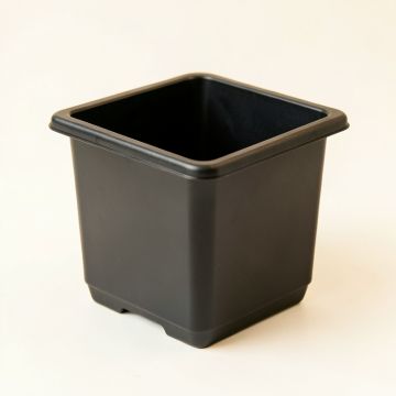 Heath Arc Empty Planter (synthetic illustration; no displayed measurements)