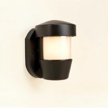 Oneal Outdoor Barn Light (synthetic illustration; no displayed measurements)