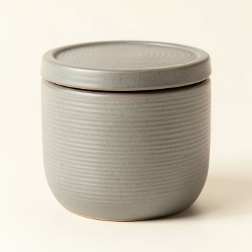 Brook Canyon Storage Canister With Lid - Gray (synthetic illustration; no displayed measurements)