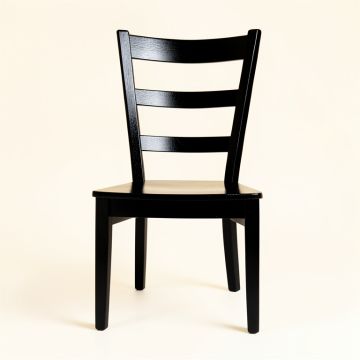 Olive Arc Dining Chair - Black (synthetic illustration; no displayed measurements)