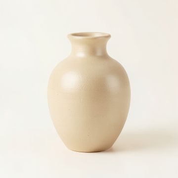 Birch Crossing Empty Decorative Vase - Beige (synthetic illustration; no displayed measurements)