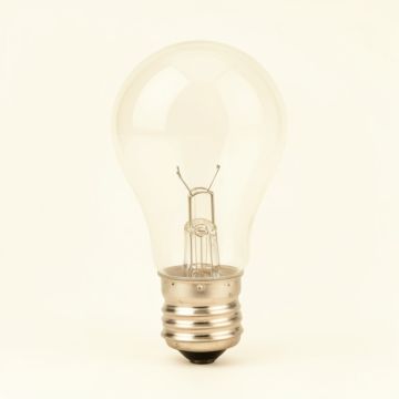 60 Watt , G30 , Incandescent Dimmable Light Bulb , Warm White ( 2700K ) E26/Medium ( Standard ) Base (synthetic illustration; no displayed measurements)