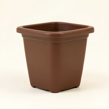 Paquette Self-Watering Plastic Elevated Planter (synthetic illustration; no displayed measurements)