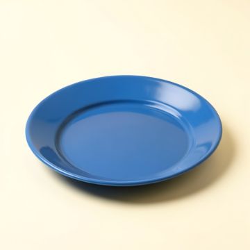 Asoghig 9 '' Melamine Salad Plate (synthetic illustration; no displayed measurements)