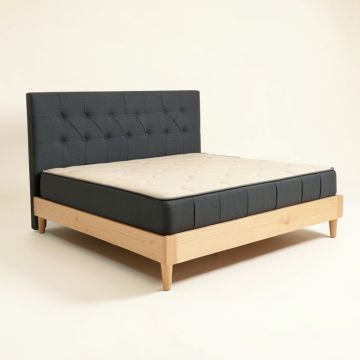 Anner Tufted Low Profile Upholstered Standard Bed (synthetic illustration; no displayed measurements)