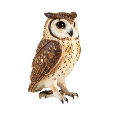 Baby Barn Owl Statue
