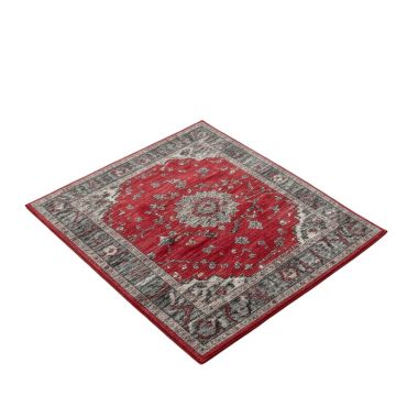 Adoraim Power Loom Red/Gray Rug
