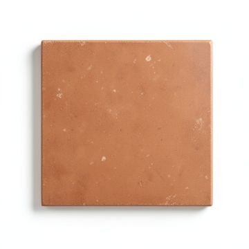 Birch Branch Uninstalled Square Decorative Tile - Terracotta (synthetic illustration; no displayed measurements)