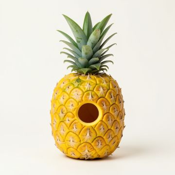 Pineapple Birdbath (synthetic illustration; no displayed measurements)