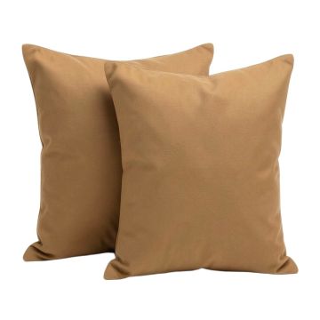 Two Throw Pillow