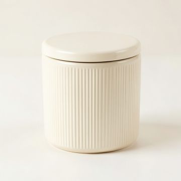 Briar Bend Storage Canister With Lid - Ivory (synthetic illustration; no displayed measurements)