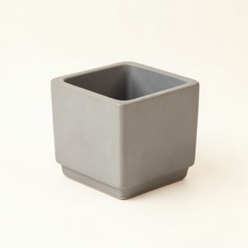 Pine Crest Empty Planter - Gray (synthetic illustration; no displayed measurements)
